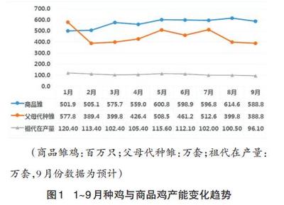 前三季度白羽肉雞產(chǎn)業(yè)發(fā)展回顧與未來(lái)走勢(shì)分析